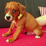 58588470_2344777378922698_6501033877010644992_n