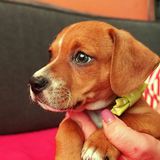 58666015_2344777412256028_6220678641223729152_n