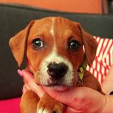 58737456_2344777362256033_538995821299892224_n