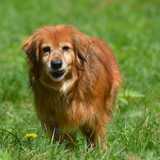 58978275_2328101700588027_663217193307078656_n