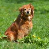 59168516_281263646113860_3175904869718425600_n