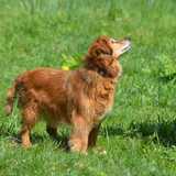 59244051_293130624910860_5483384854177382400_n