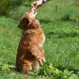 59337332_284981959071176_8652587934236540928_n