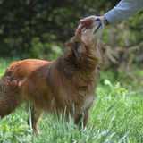 59371899_282247539389051_1032950187422646272_n