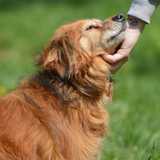 59641910_609524559526581_7903412111575875584_n