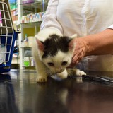 66209831_10215136800676269_4337585444729389056_n