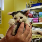 66274928_10215136801236283_7002685421528285184_n