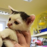 66523855_10215136801676294_2687399812071948288_n