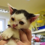 66622763_10215136801516290_7081361160737390592_n