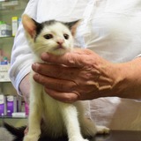 66650577_10215136800436263_1302910674640306176_n