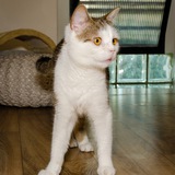 69515082_10215552866357651_35562853196890112_n