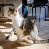 69558289_10215552866597657_7134053739375099904_n