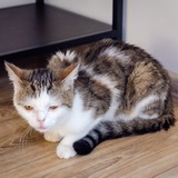 69750068_10215552868077694_7368839256187338752_n