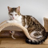 69786692_10215552867477679_7080400999323533312_n