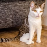 69789855_10215552867197672_1749314701914800128_n