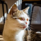 69926158_10215552866437653_3494940503663706112_n