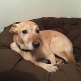 71716889_2936083269754799_5737504338071257088_n