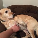 74596188_2998623503484678_4303453975283236864_n