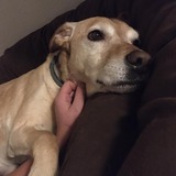 74670659_729892424082985_6885624941119537152_n