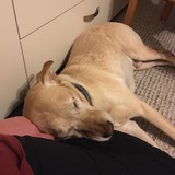 74979491_719537291858410_6992639458663202816_n