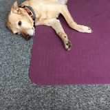 75521678_503568280228117_1632324482876047360_n