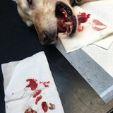 75339537_1355491447986480_5716580962507161600_n