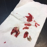 74330644_497063800882797_1943221213924950016_n