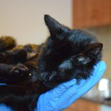 82886871_10216663020190803_4622528792215158784_o