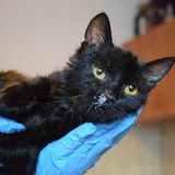 82928206_10216663019350782_1948749983591170048_o