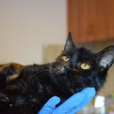 83546702_10216663020670815_3550442051042541568_o