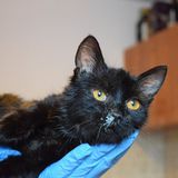 83737558_10216663019670790_1057783052672958464_o