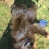 92053446_581230135813799_252006755121233920_n