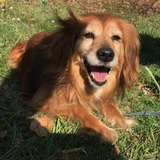 92099343_602905670298057_2474839174763511808_n