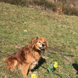 92387663_3720421298031044_4908745640453865472_n