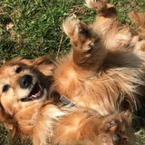 92437541_566393254228727_6668730054744211456_n