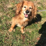 92454302_2344107335886961_672064894656315392_n