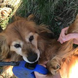 92666533_889254081589065_7477345497477283840_n