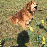 92689690_308827083421896_938987985297211392_n