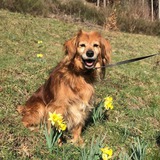 92717345_1549500255215110_8943406908652388352_n