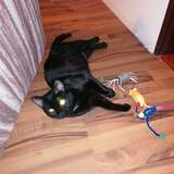 95032121_225994688688620_3764623656253128704_n