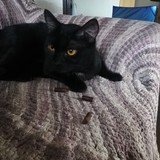 94975801_293538388305777_6136692127708479488_n