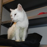 120046876_382279349444287_8957217249487988650_n