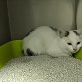 122579704_10218913909341625_7081881492891904799_n