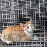 122548656_10218913917381826_1938372444354361890_n