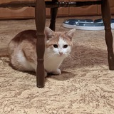 126186547_10219079553642629_8088907183869017974_n