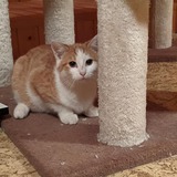 126189338_10219079552522601_6647785076702763205_n