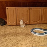 126194892_10219079549922536_8942456057276831618_n