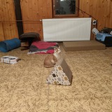 126401234_10219079547762482_5947675804734169171_n