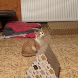 126186028_10219079549482525_5124455480646405995_n