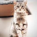 127030704_10219101267545463_2218948371269879804_n